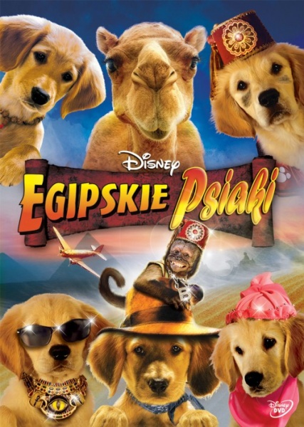 Plik:Egipskie psiaki.jpg