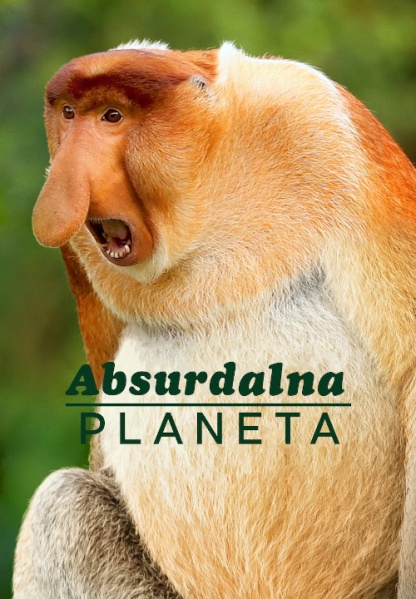 Plik:Absurdalna planeta.jpg