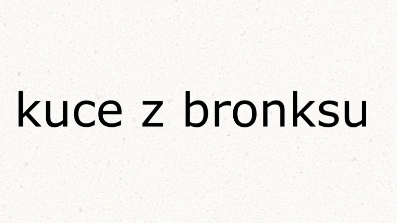 Plik:Kuce z Bronksu.jpg