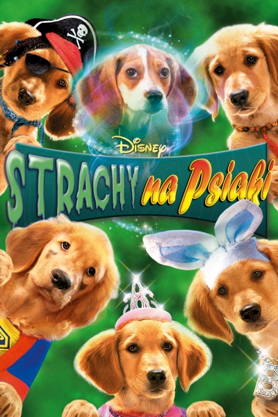 Plik:Strachy na psiaki.jpg