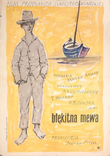 Plik:Błękitna Mewa.jpg