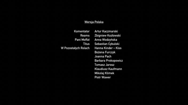 Plik:Druh zastępowy - 2.jpg