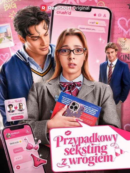 Plik:Przypadkowy seksting z wrogiem.jpg