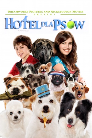 Hotel dla psów.jpg