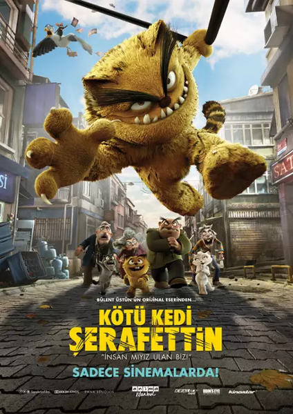 Plik:Kocur.webp